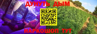 прущие крисы Славгород
