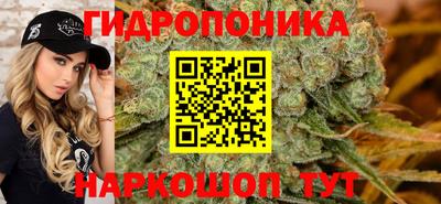 прущие крисы Славгород