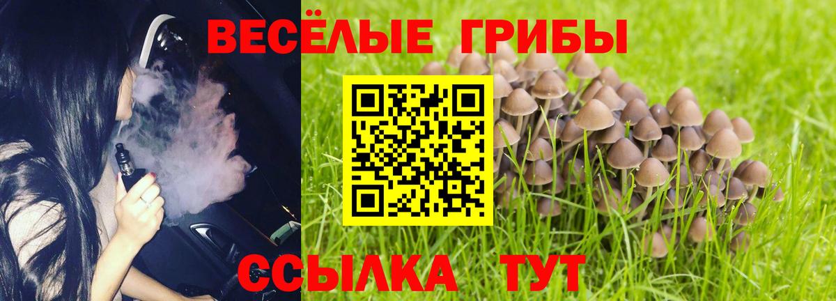 Галлюциногенные грибы мицелий  Псилоцибиновые грибы прущие грибы  Вход с VPN  Орёл 
